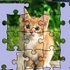 Jigsaw Puzzle: Cute Kittens