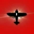Airplane Fight